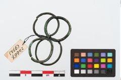 Foto von Bronzering (NHMW-PRAE-024667)